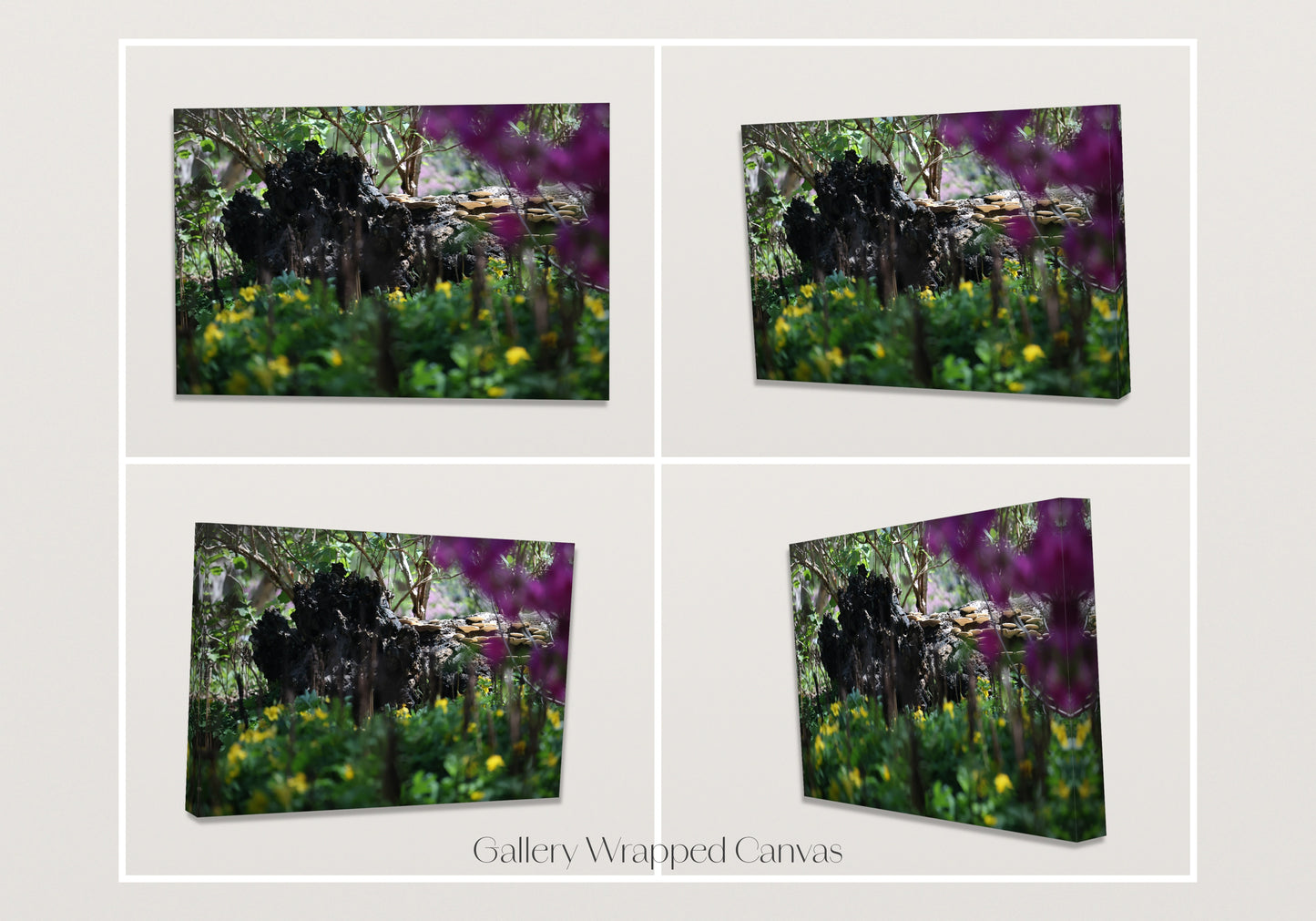 A Hidden Corner