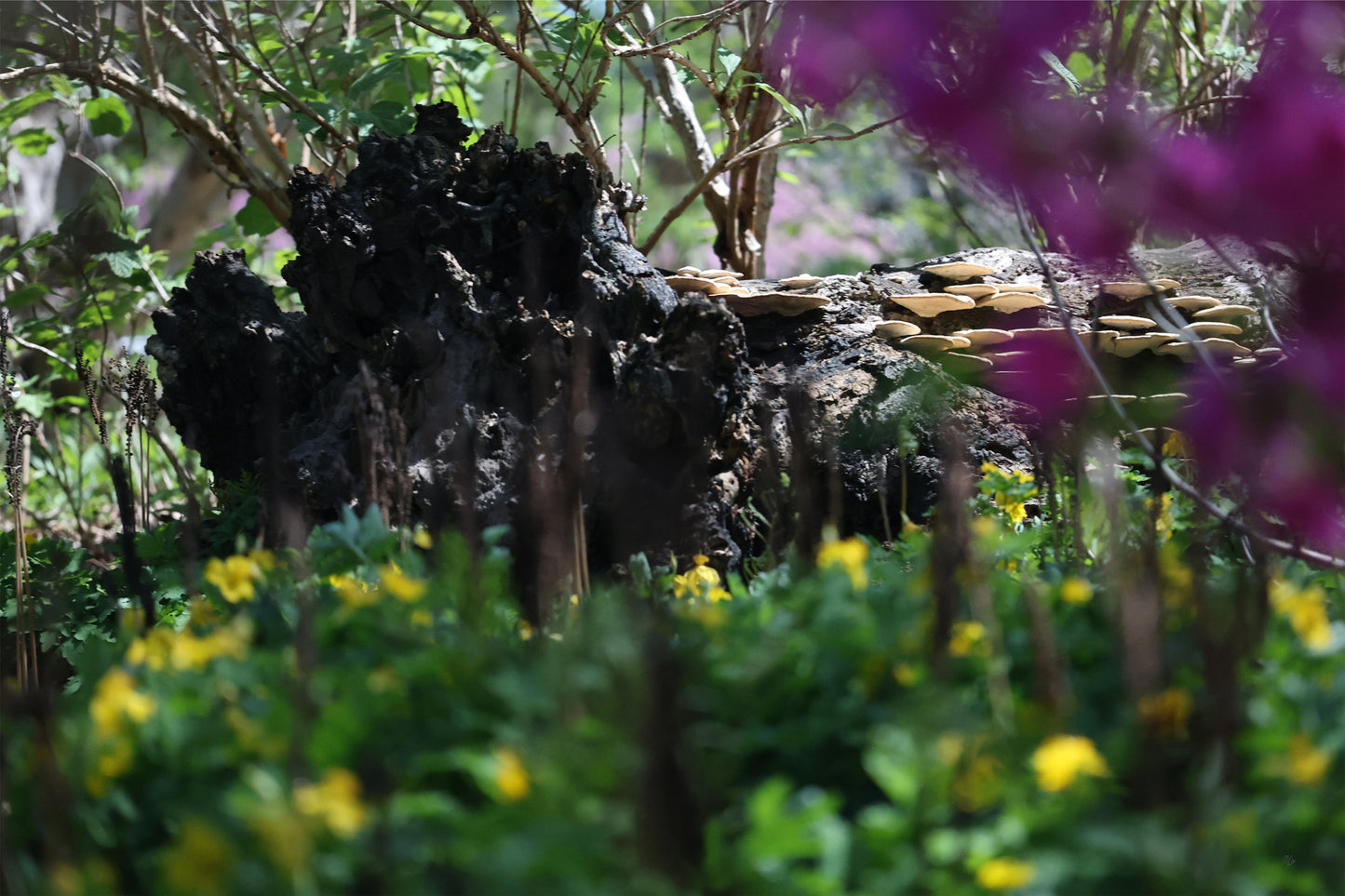 A Hidden Corner