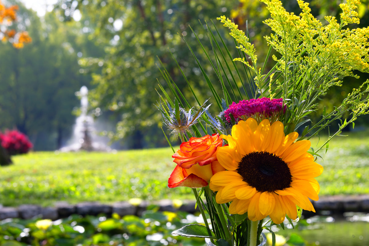 Bouquet of sunflower, orange rose, cockscomb, and goldenrod beside a park fountain and lily pond.