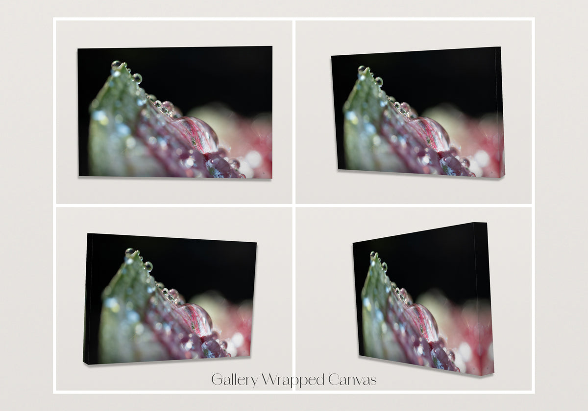 Close Up Magic