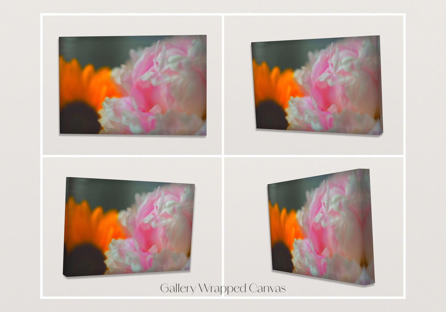 Fluorescent Bloom