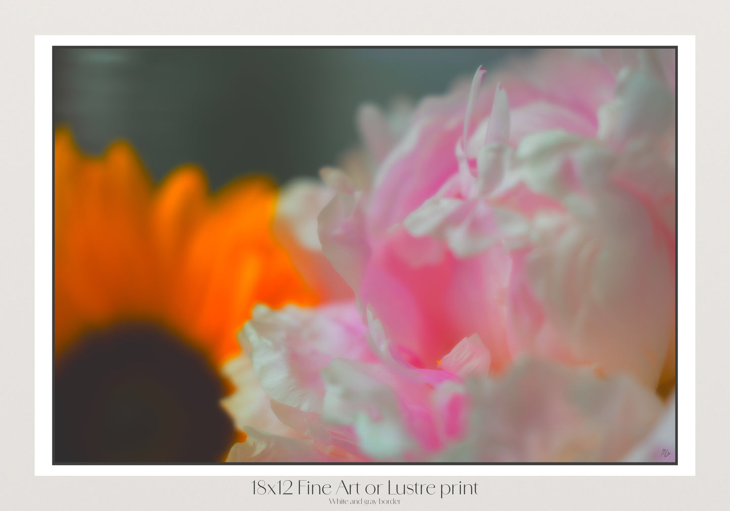 Fluorescent Bloom
