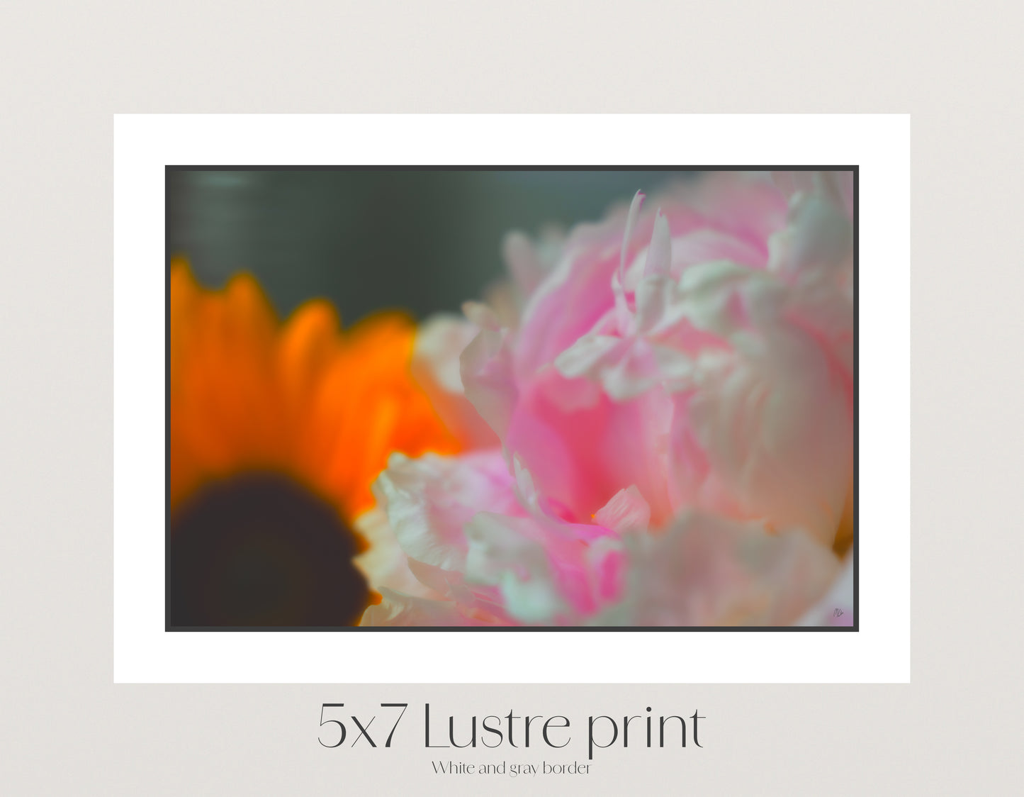 Fluorescent Bloom