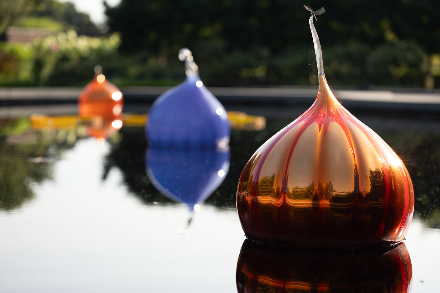 Glass Onions