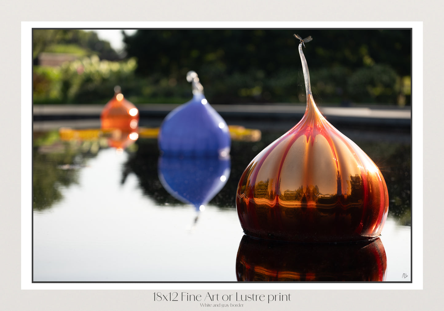 Glass Onions