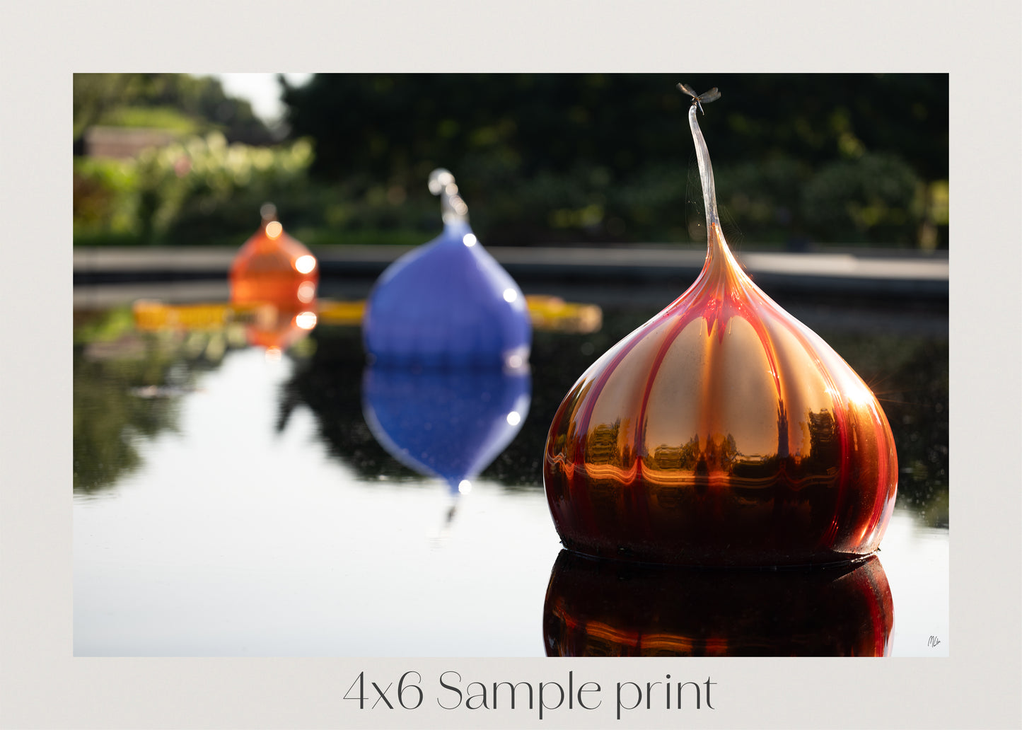 Glass Onions