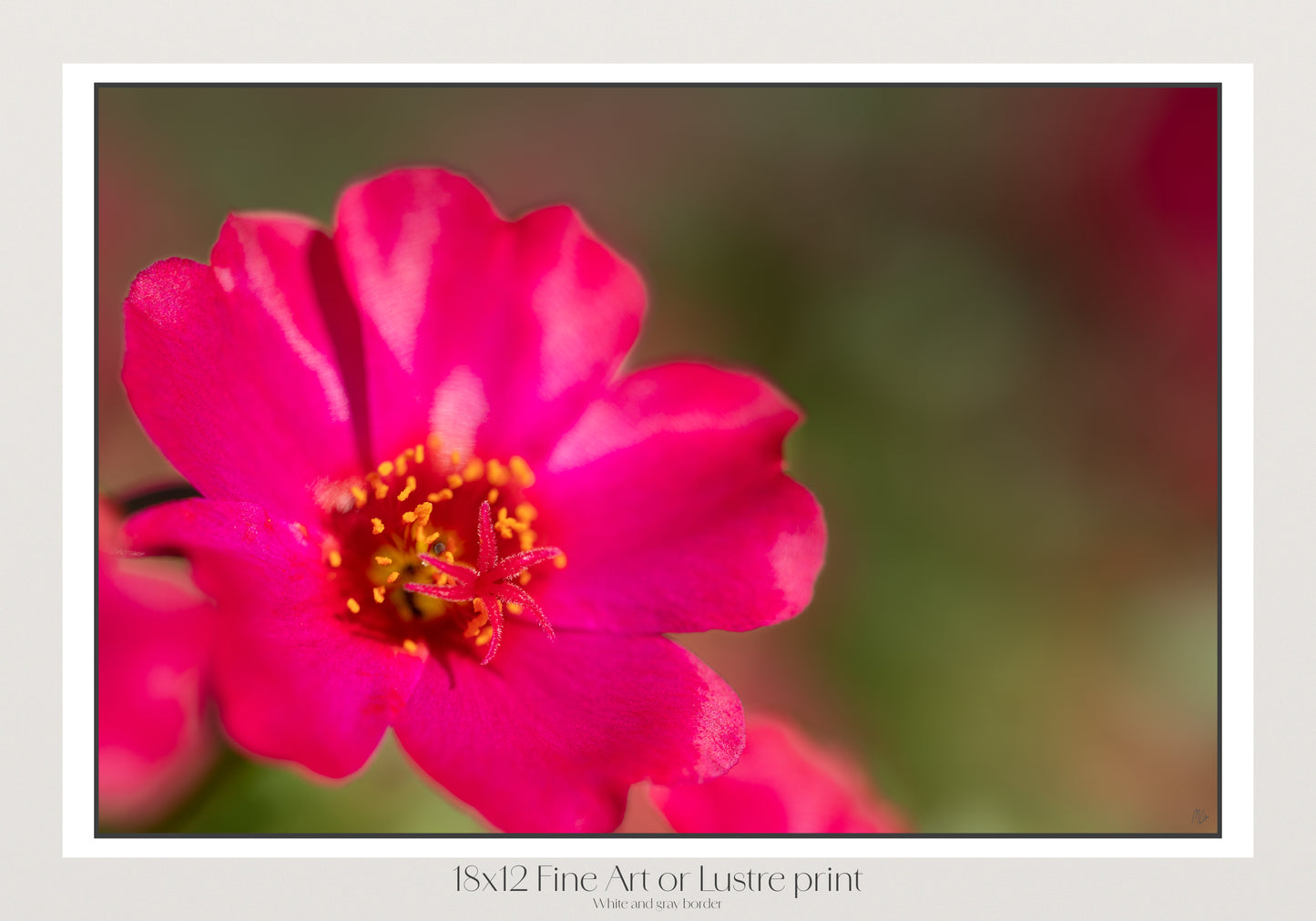 Heart of the Bloom