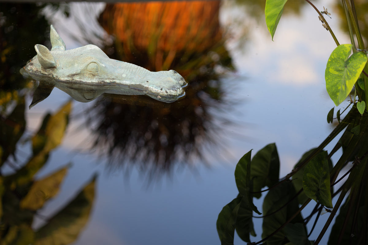 Small hippo statue resting in a garden pond with glowing reflections and dragonflies on a nearby stem.