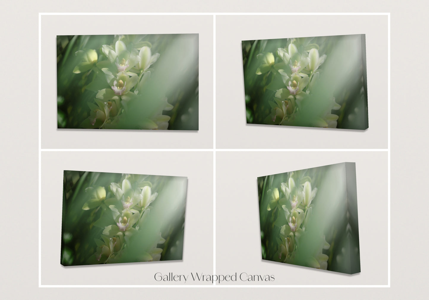 Misted Moments 1