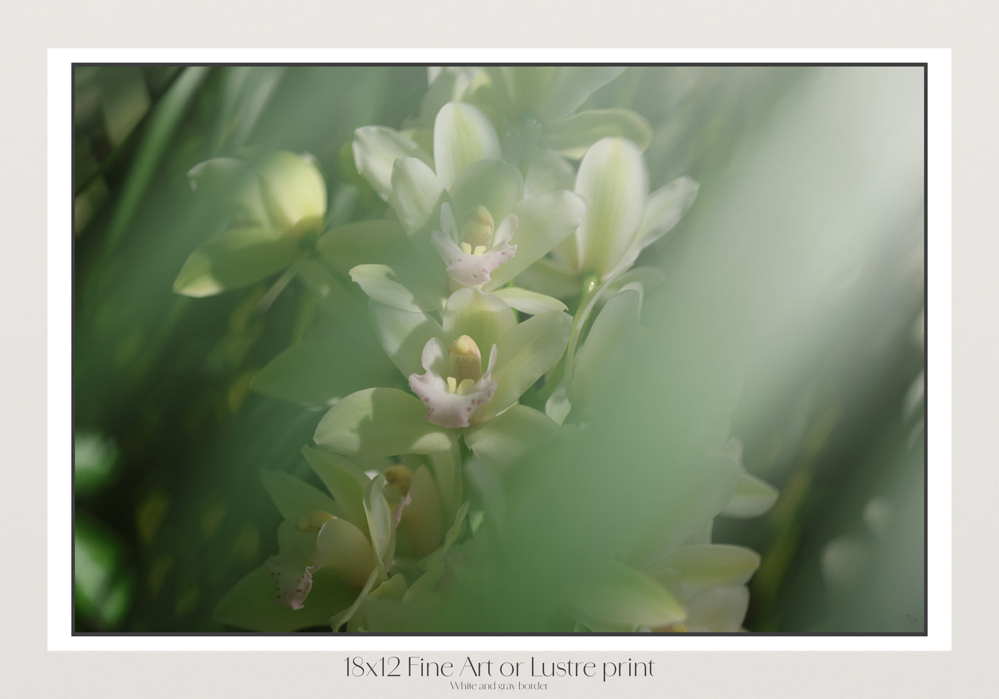 Misted Moments 1