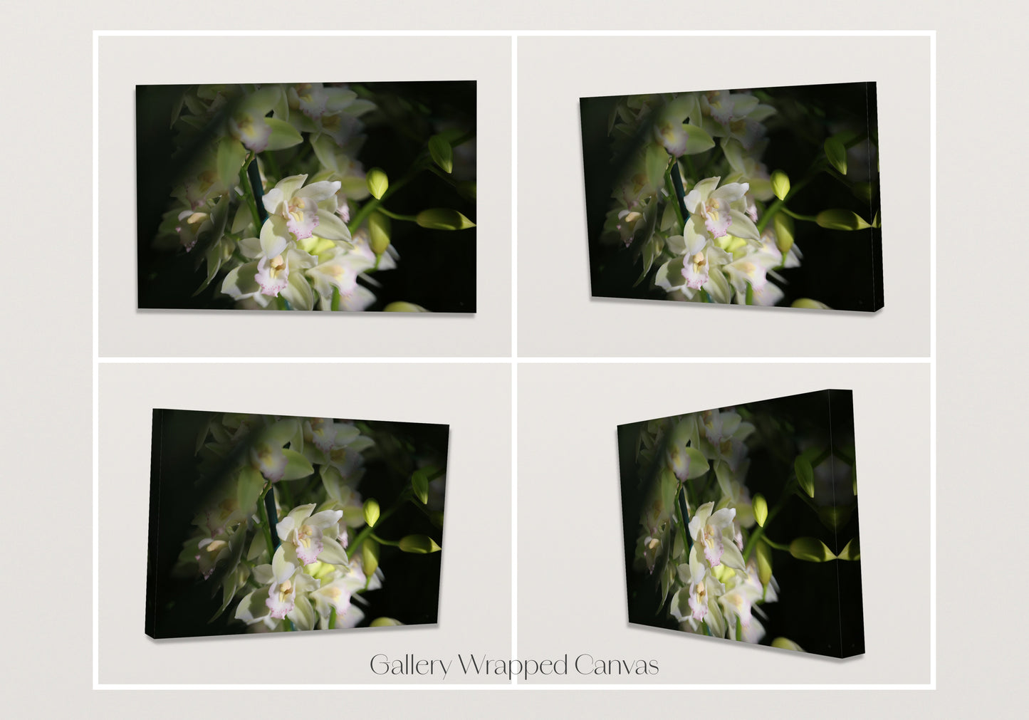 Misted Moments 2