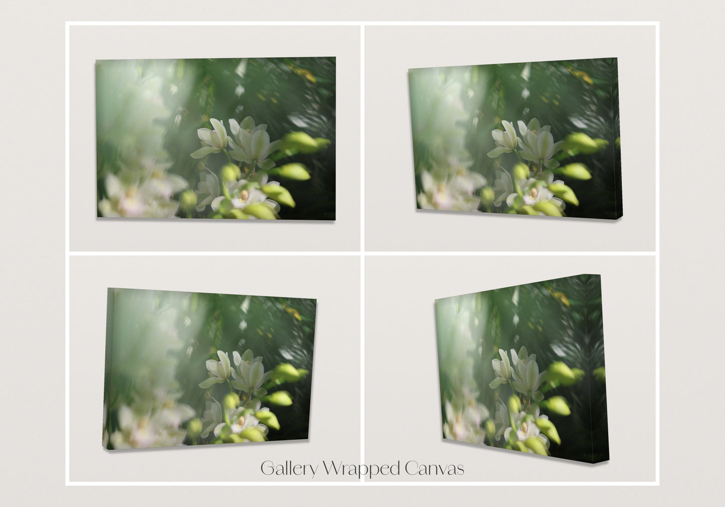 Misted Moments 3