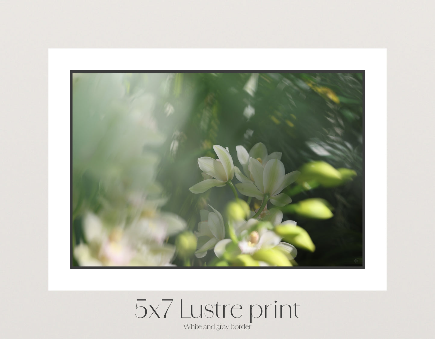 Misted Moments 3