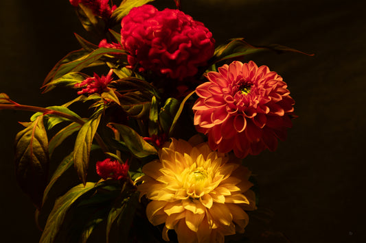 Painted Bouquet