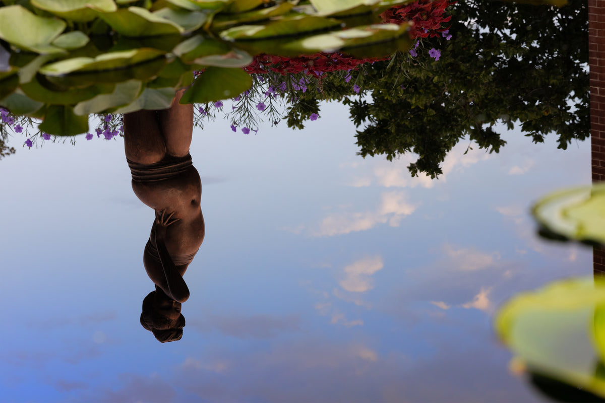 Reflection of a bronze statue of a woman in a lily pond, floating among clouds beneath lily pads and purple flowers.