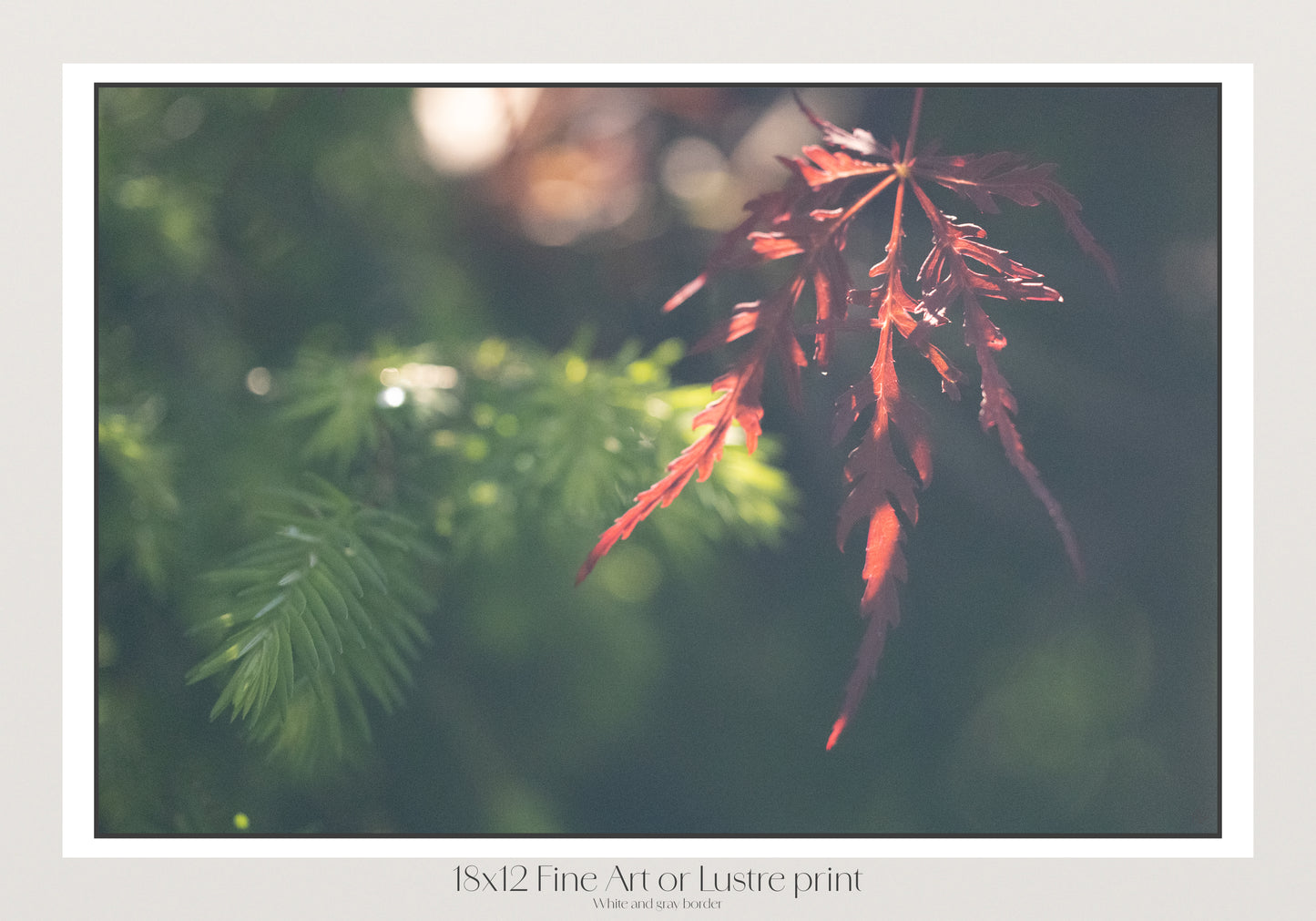 Quiet Contrast