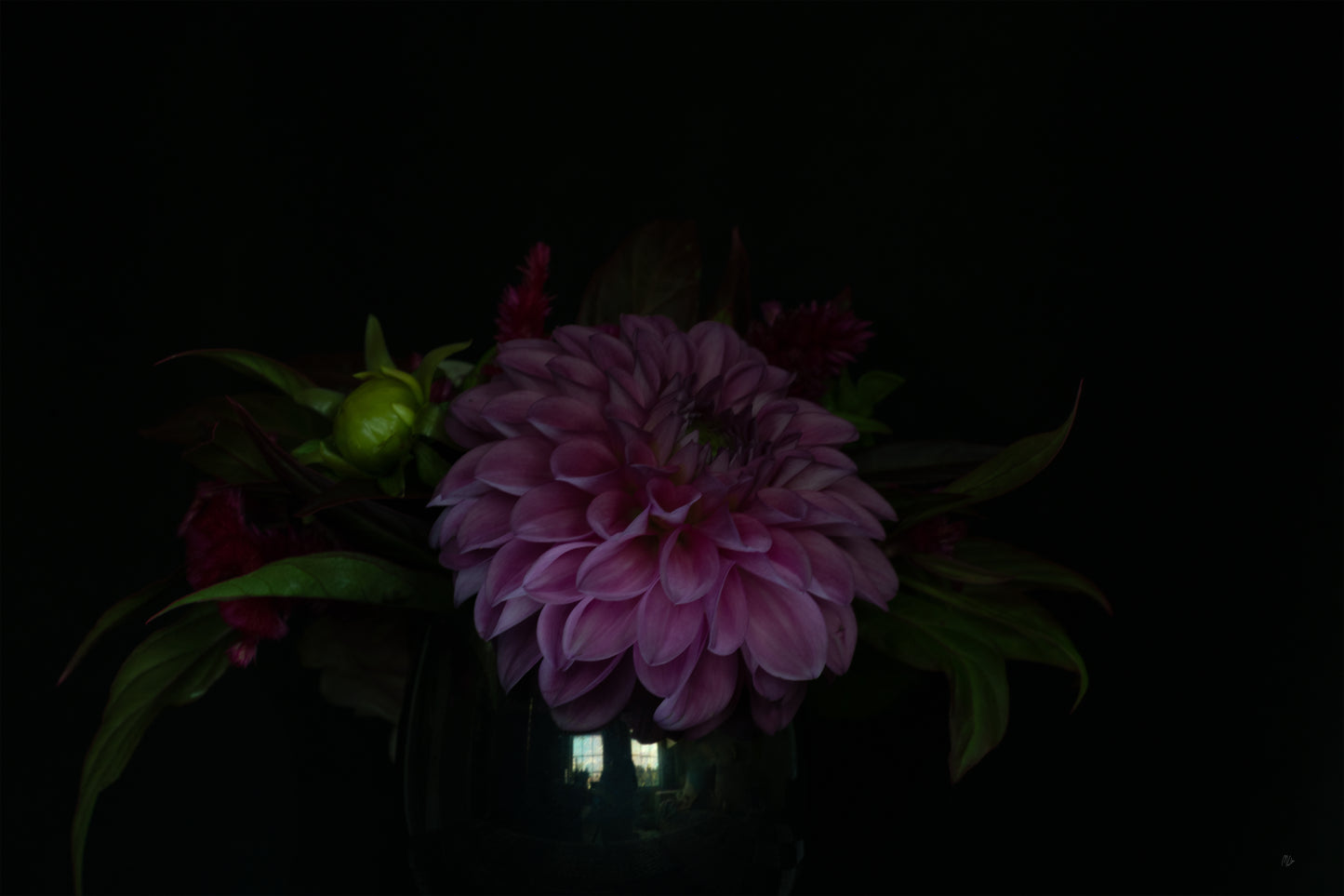 Shadowed Still Life