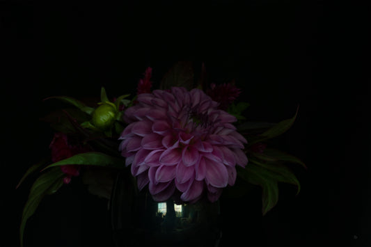 Shadowed Still Life