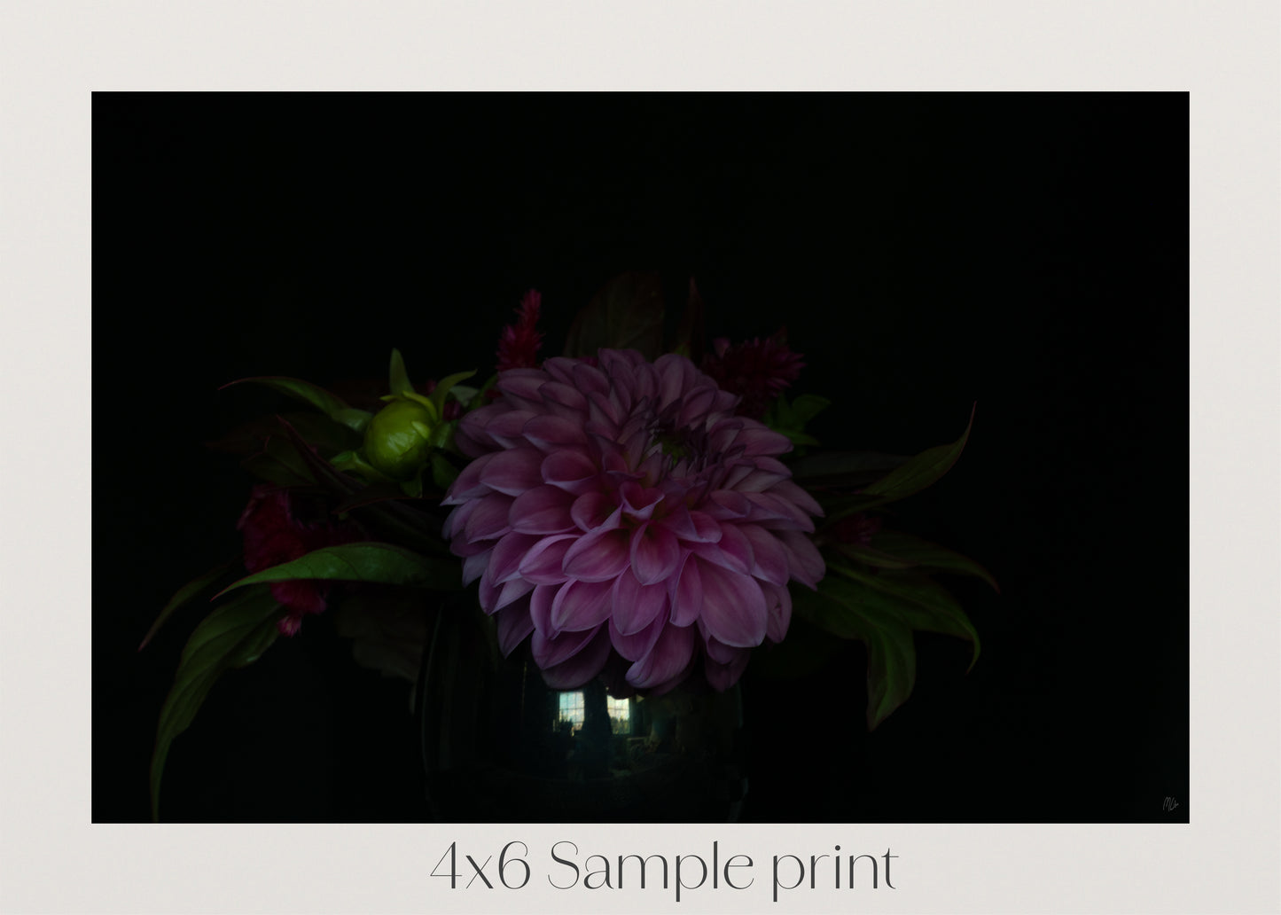 Shadowed Still Life