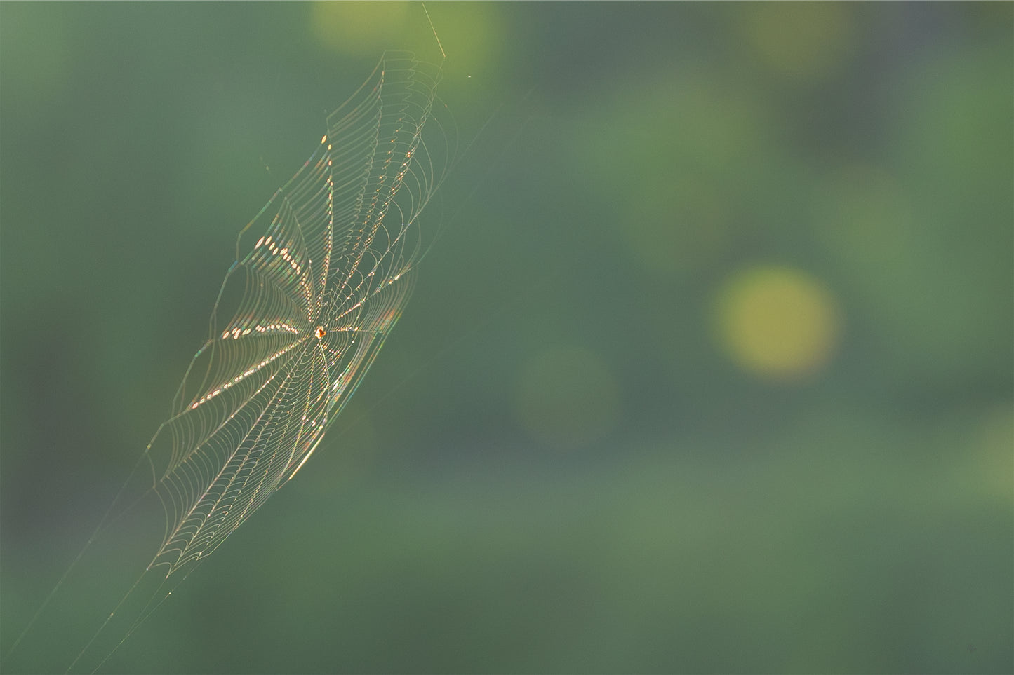 Shimmering Threads