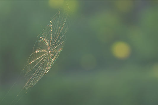 Shimmering Threads