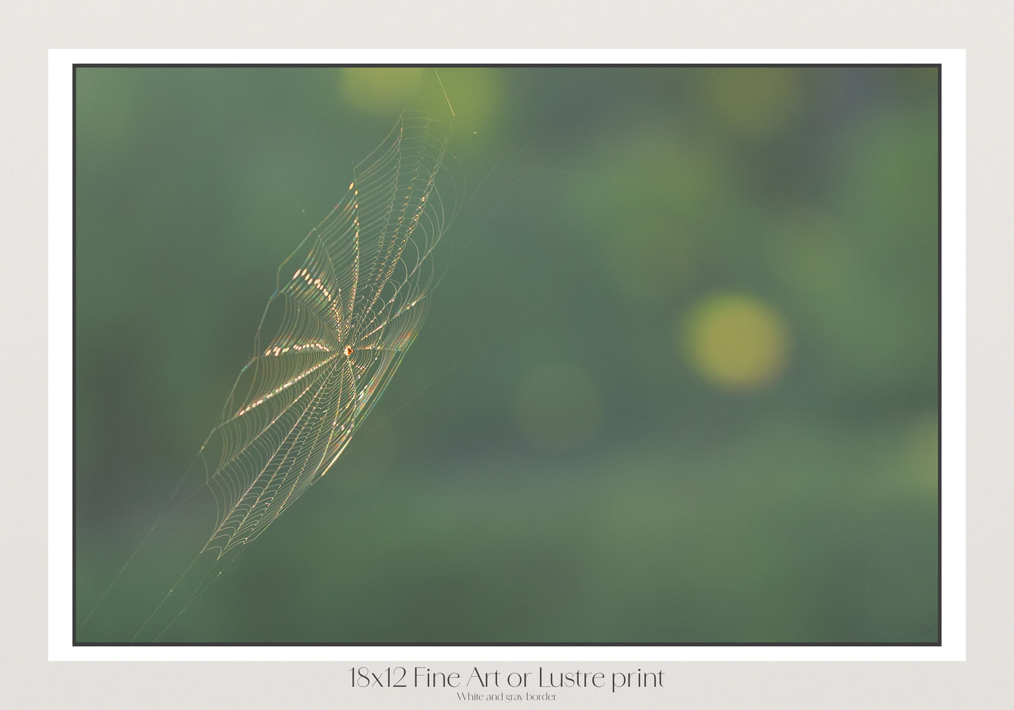 Shimmering Threads