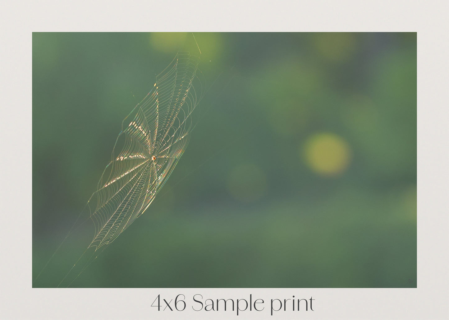 Shimmering Threads