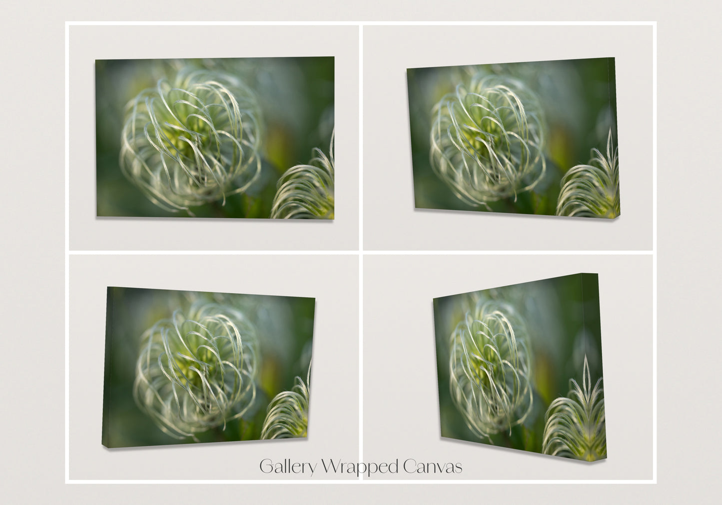Silver Wisps