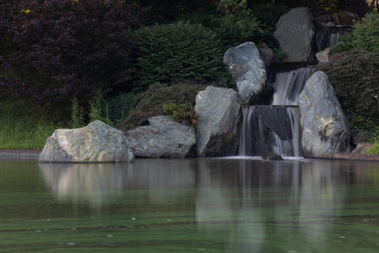 Stone and Reflection