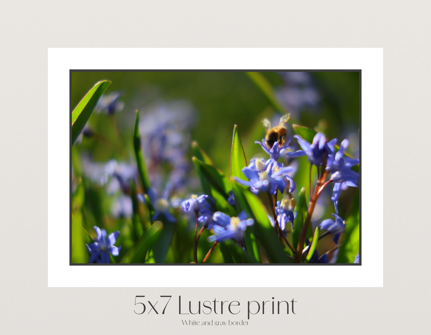 Sunlit Bee