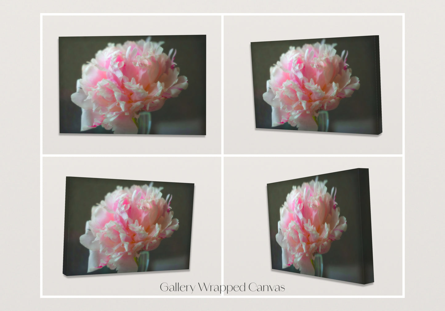 The Brooding Peony