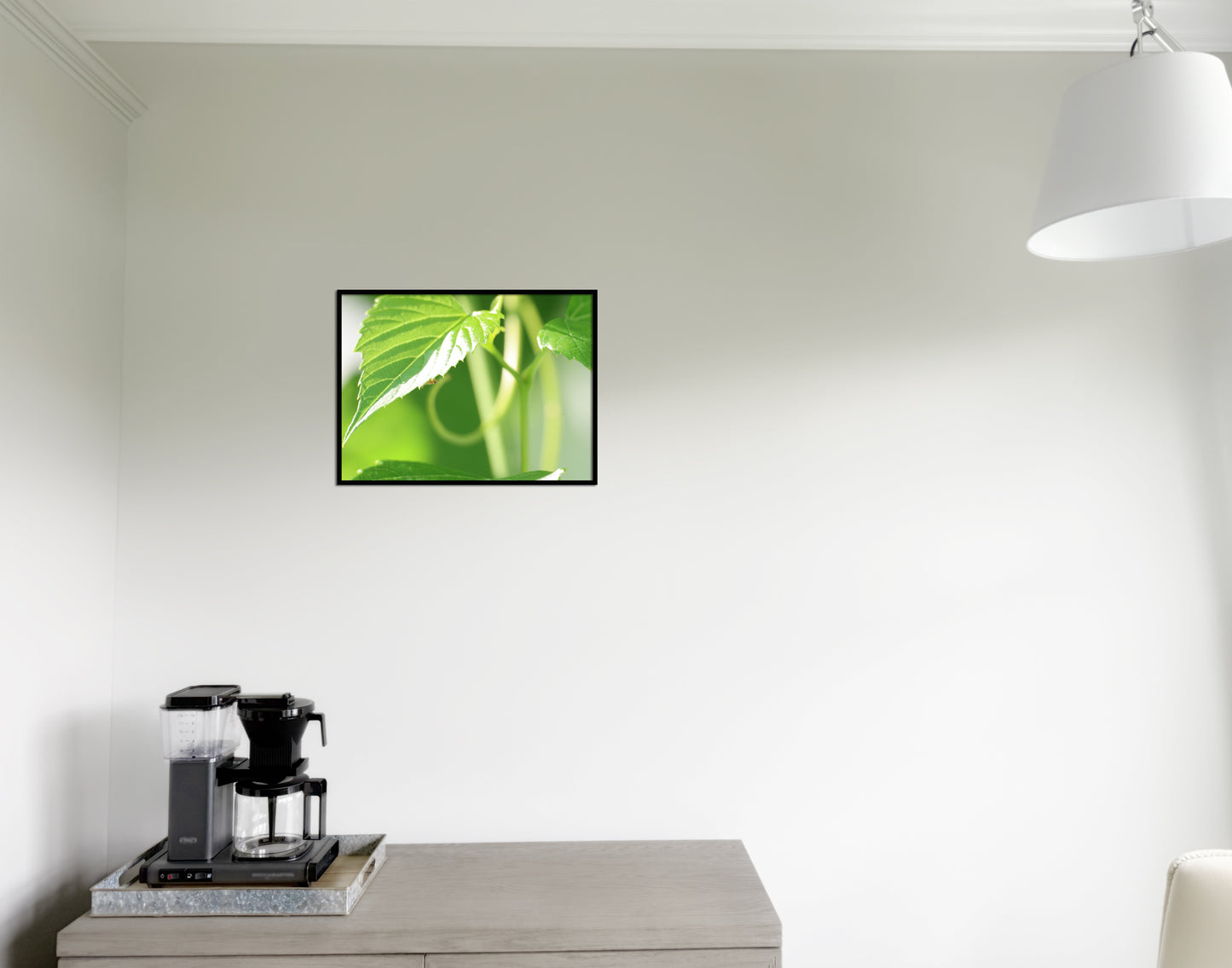 The Lost and Found for Forgotten Dreams